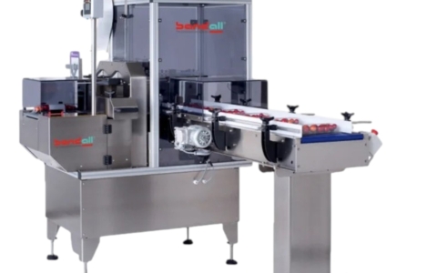 bandall TRC (2)
