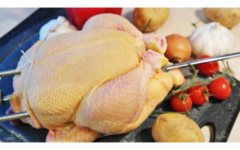 德國siebeck 雞隻打結機