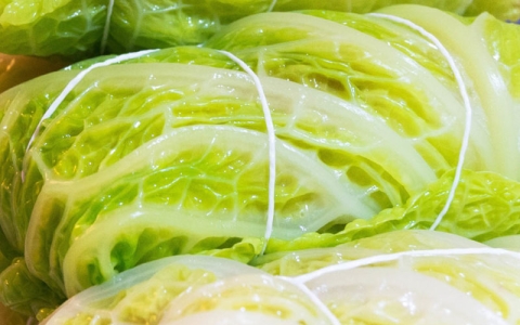 德國siebeck 蔬菜打結機